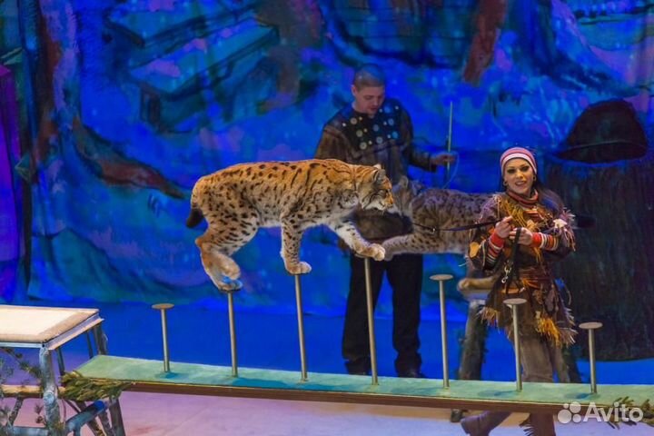 2 билета в Уголок Дедушки Дурова