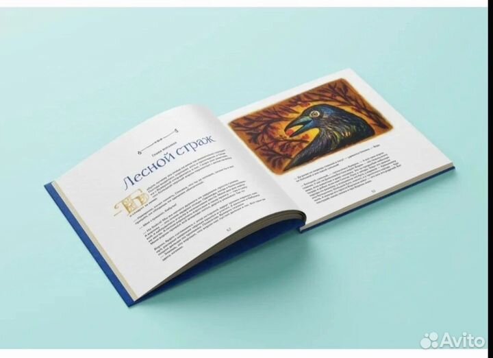 Книга Камчатка