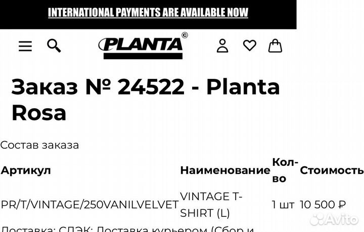 Planta rosa футболка