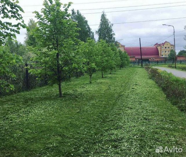 Покос травы триммером