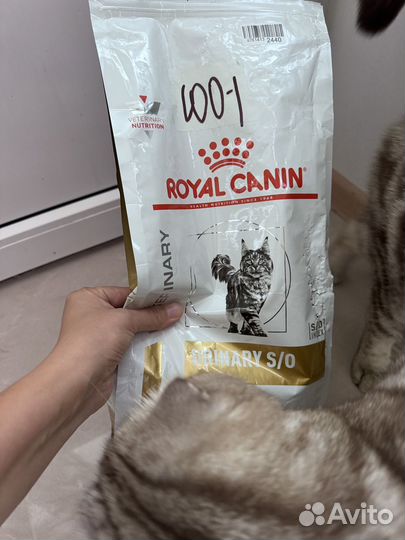 Сухой корм для кошек royal canin urinary S/O