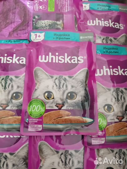 Влажный корм для кошек вискас
