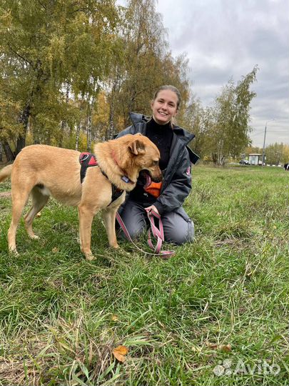 Активному Жаку невыносимо в приюте