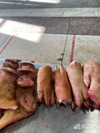 Продам корм для Собак и Кошек.Обрезь,жилка,легкое