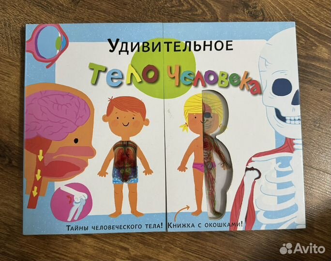 Тело человека. Книга детская