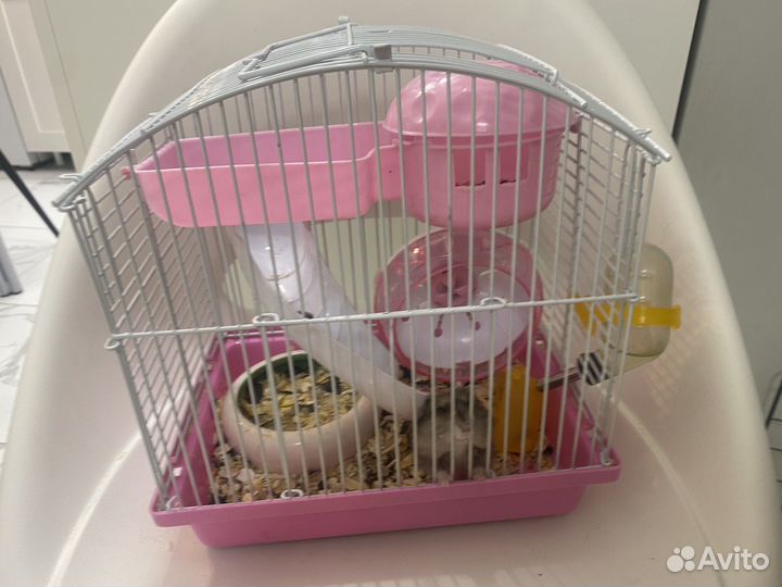 Джунгарский хомяк с клеткой