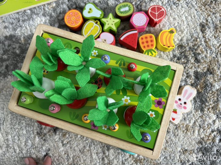 Сортер детский