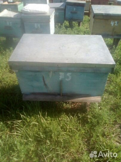 Продаю улья лежаки 20 штук цена договорная