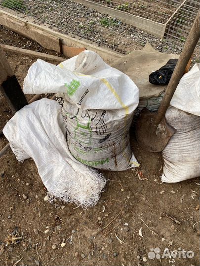 Куринный помет