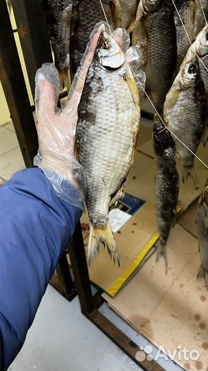 Тарань азовская