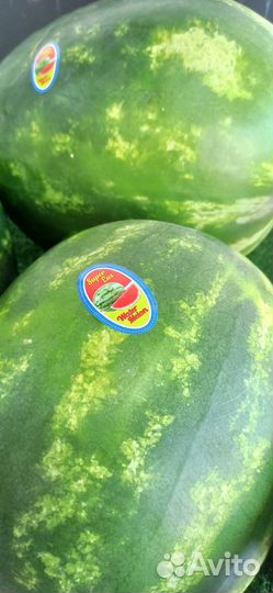 Краснодарская Клубника свежая ягода