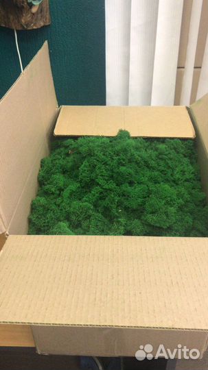 Мох, обрезки