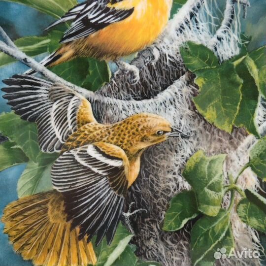 Тарелка Британская Энциклопедия Балтиморск. иволга