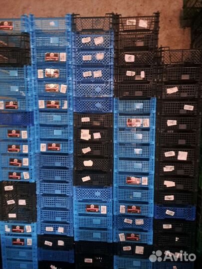Пластиковые ящики бу.гр