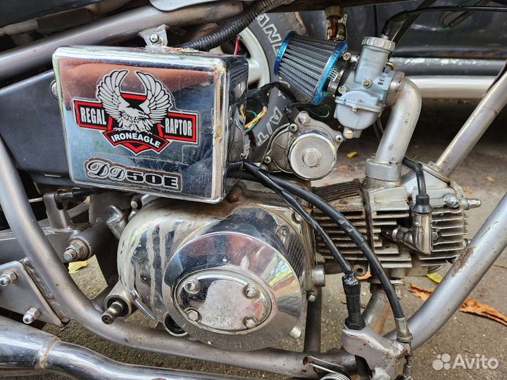 Regal Raptor dd50e автомат