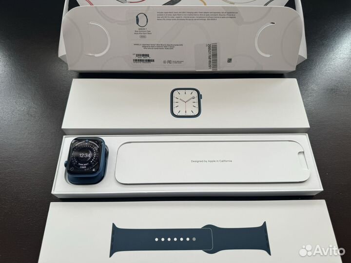 Часы Apple Watch 7 45mm (blue)