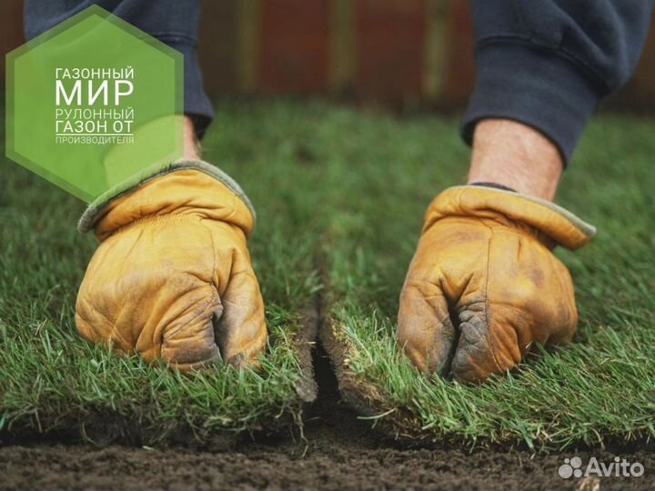 Рулонный газон