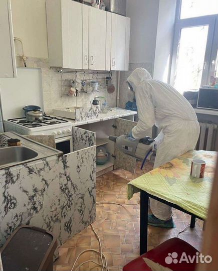 Уничтожение тараканов, клопов,мышей,комаров клещей