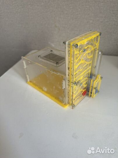 Муравьиная ферма бу