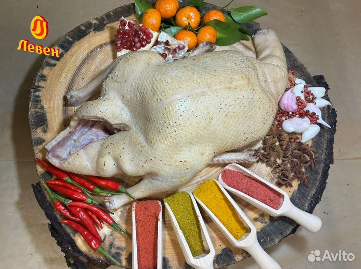 Мясо птицы. Тушки утки