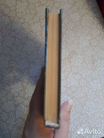 Мишель у чёртова источника, Жорж Байяр