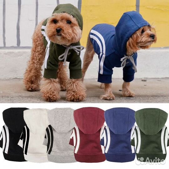 Толстовка Puppy Angel