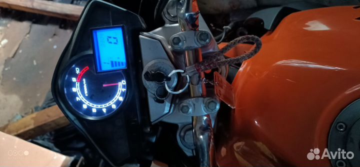 Stels flex 250