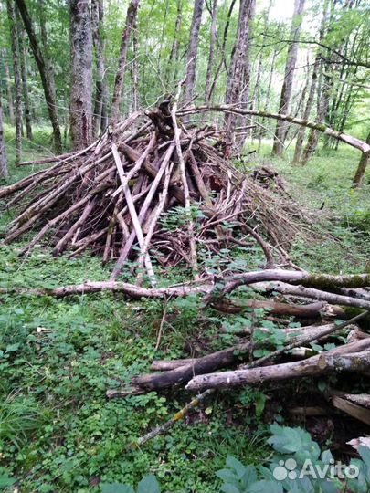 Спил деревьев, расчистка участков