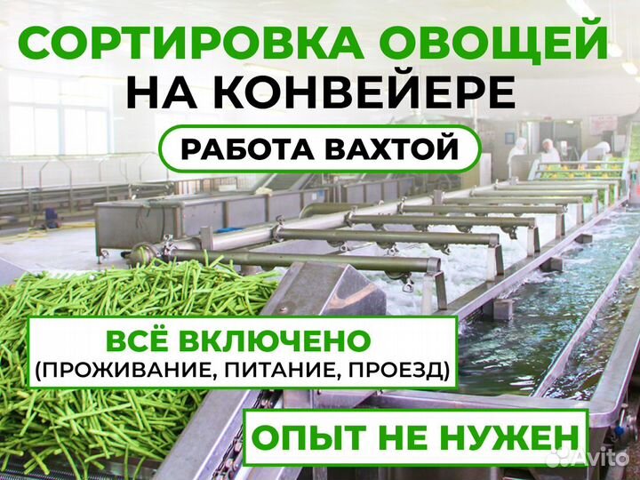 Сбор урожая. Все включено