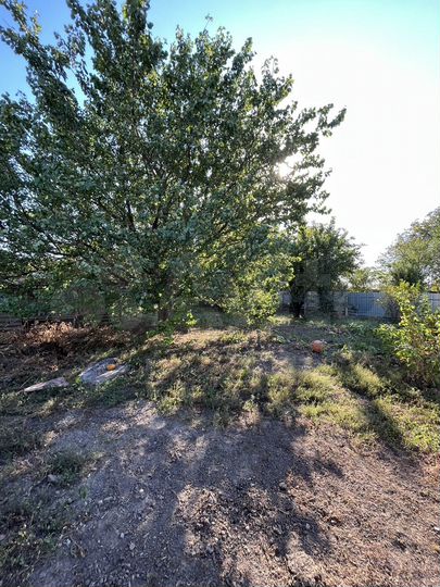 Дом 55,6 м² на участке 9,6 сот.