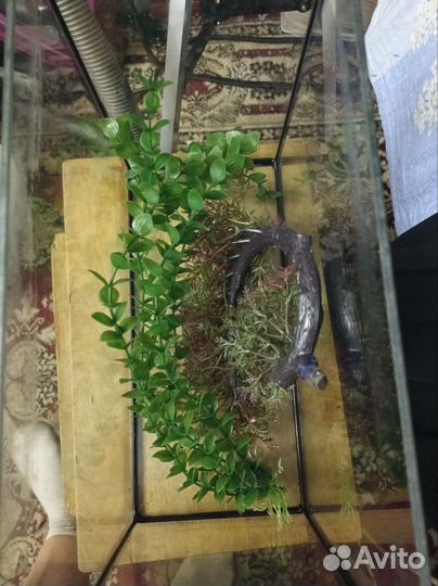 Аквариум 10 литров