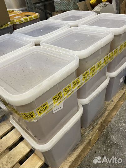 Липовый мед оптом. Свежий сбор