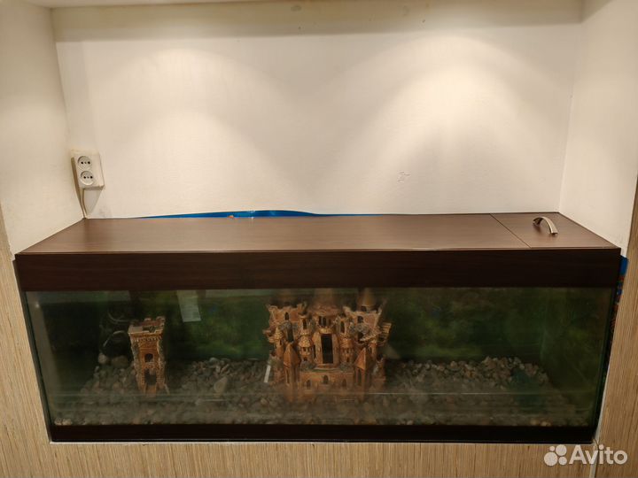 Аквариум