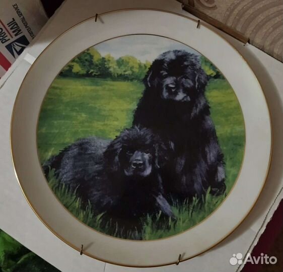 Фарфоровая тарелка Ньюфаундленд Собака США