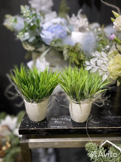 Чудесная эко зелень