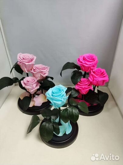 Розы оптом