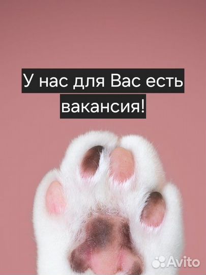 Продавец консультант в зоомагазин