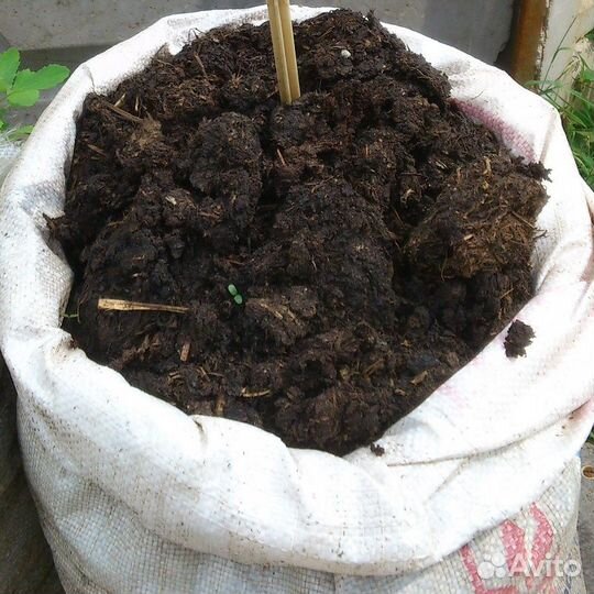 Перегной коровяк в мешках и валом