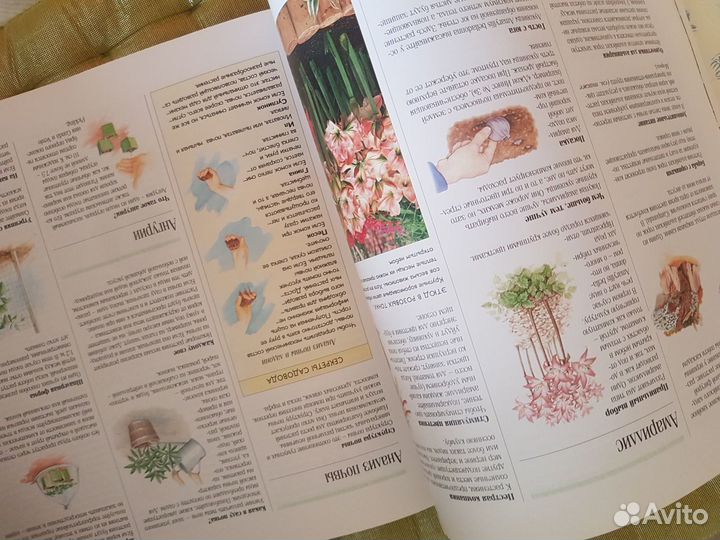 Книга 1000 советов и идей для вашего сада