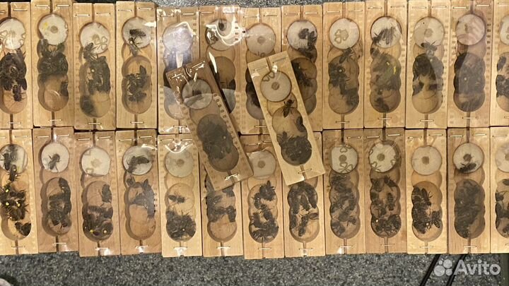 Пчелопакеты на 2023 год ВДНХ