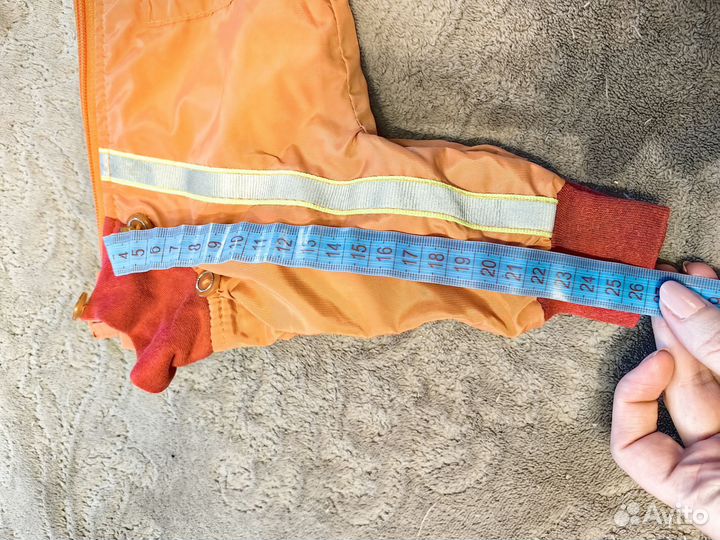 Костюм для маленькой собачки