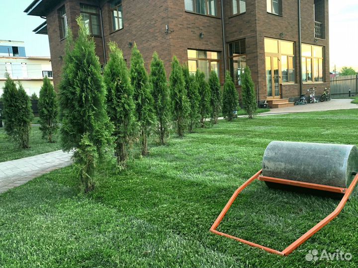 Рулонный газон