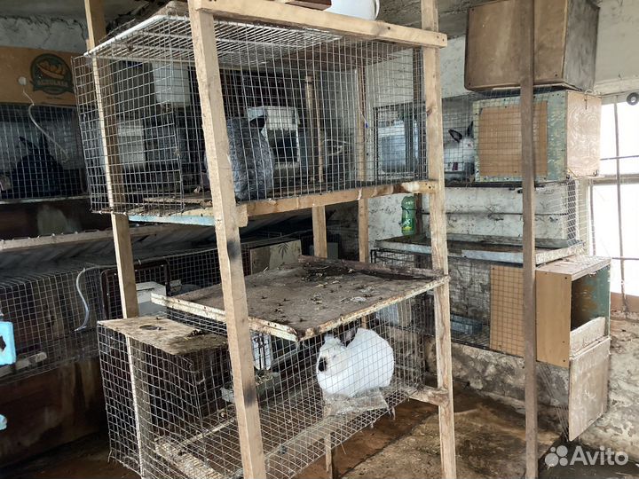Клетка для кролика