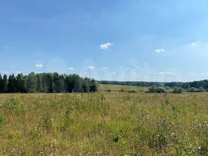 Участок 53,53 га (СНТ, ДНП)