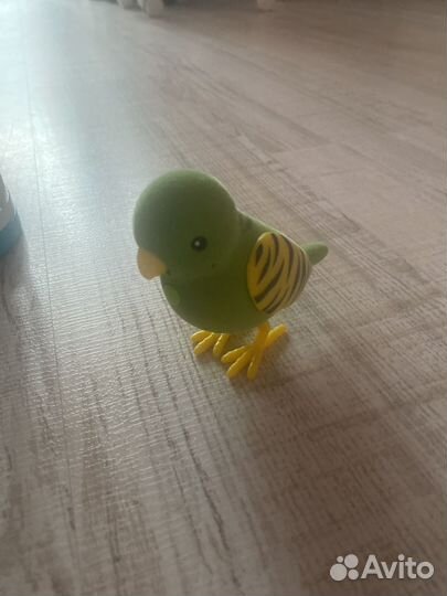 Поющий и повторяющий попугайчик детский