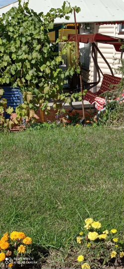 Дом 68 м² на участке 6 сот.