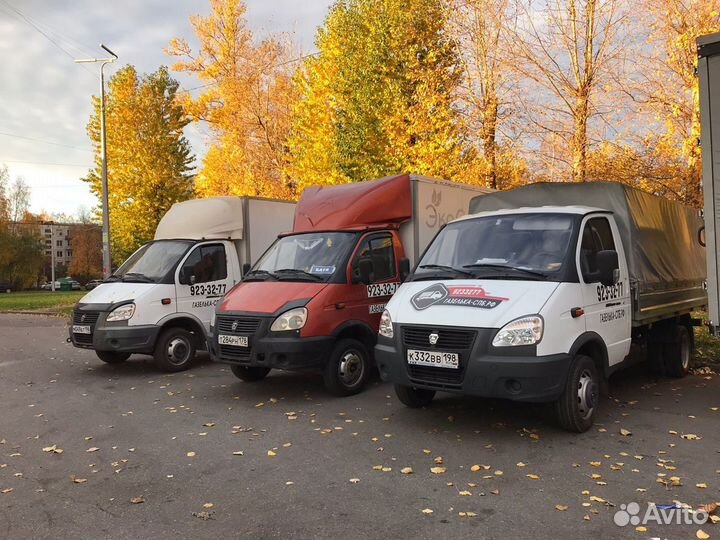 Водитель Газели