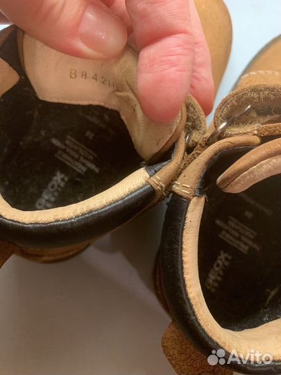 Оригинал Демисезонные ботинки сапожки geox 24