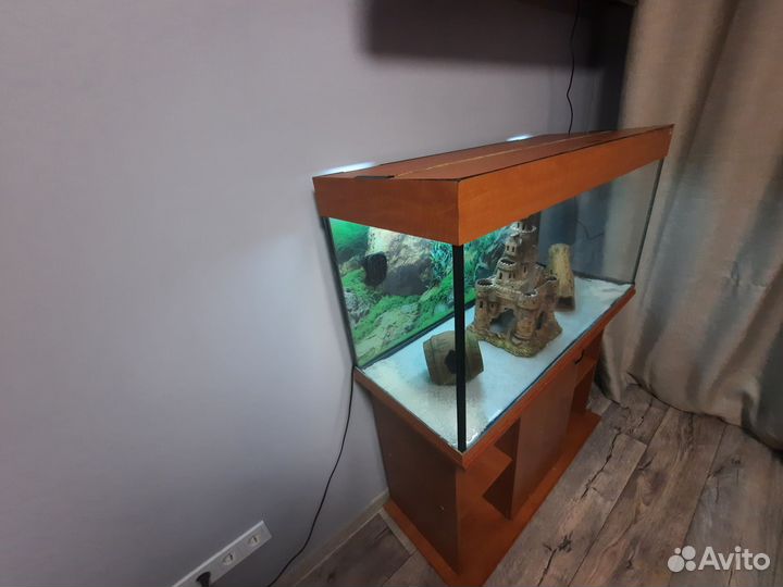 Аквариум с тумбой 200 литров