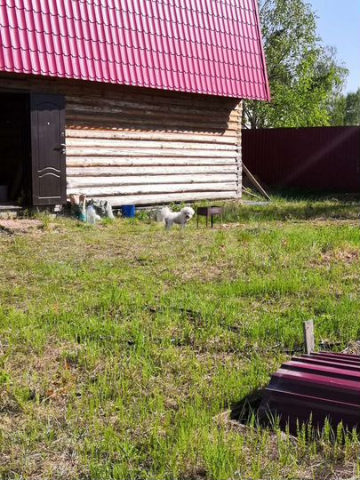 Дача 30 м² на участке 6,6 сот.